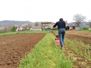 lavoro campi